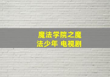 魔法学院之魔法少年 电视剧